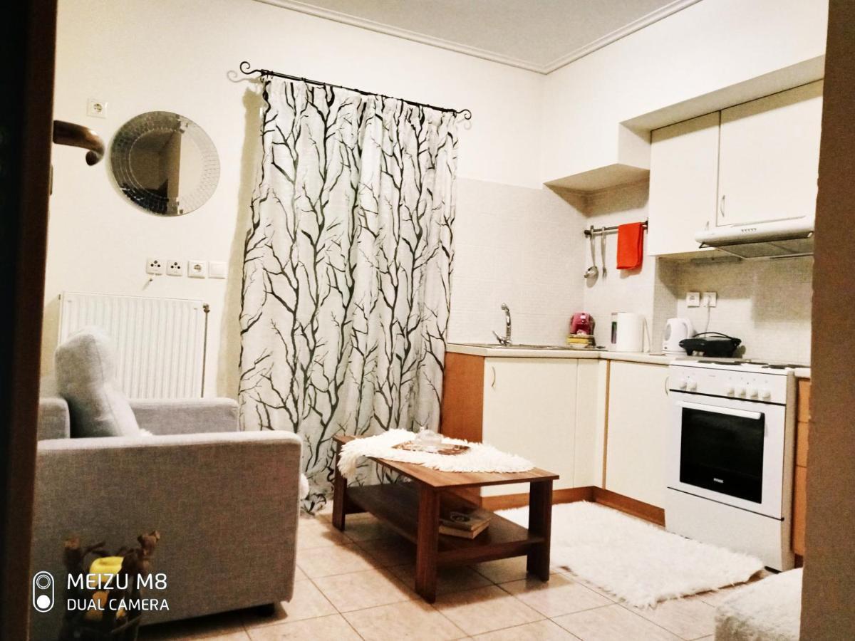 Φωτεινό Διαμέρισμα Πειραιας Apartment Пирея Екстериор снимка